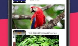 8k视频下载,极致画质体验尽在掌握